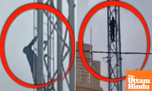 High on Love and Liquor:  Intoxicated Lover Scales Mobile Tower for Girlfriend Meet-Up