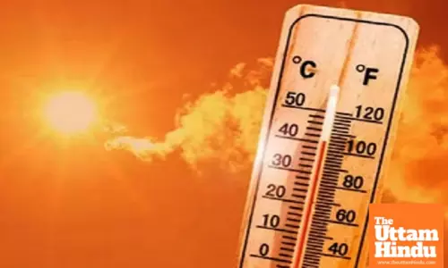 2024 confirmed to be warmest year on record globally: Copernicus