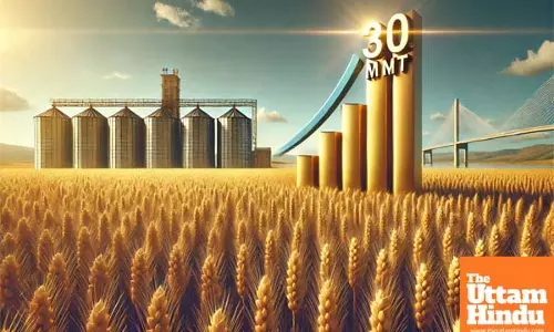 Govt sets wheat procurement target at 30 MT for 2025-26 season