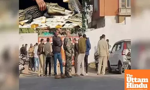 Income Tax Raid on BJP Leader Unearths Gold, Cash and 4 Crocodiles in His House