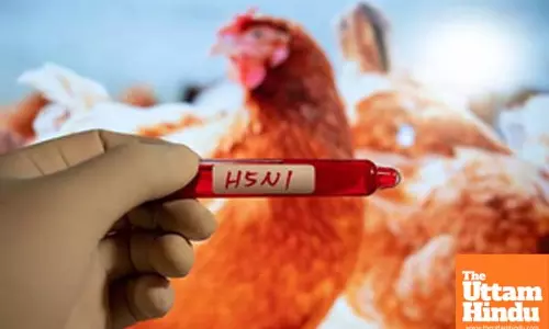 Cambodia records first death from H5N1 in 2025