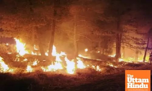 Tragic toll: At least 11 confirmed dead as wildfires ravage Los Angeles