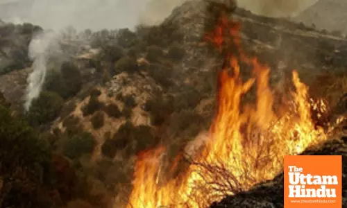 US wildfires: Lower access to air conditioning ups emergency care risk, finds study