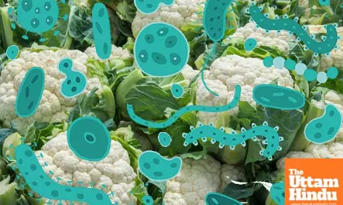 These people should not forget to eat cauliflower vegetable, know the harm it can cause