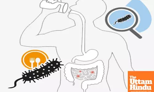 Angola Reports 170 Cholera Cases and 15 Deaths