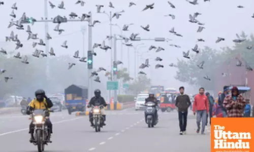 New Delhi: Vehicles move through dense fog on a cold winter morning