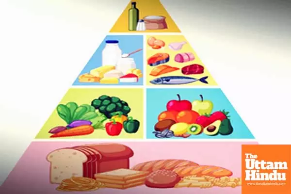 Shifting to balanced diets key to combat alarming nutrition crisis in India: Experts Shifting to balanced diets key to combat alarming nutrition crisis in India: Experts