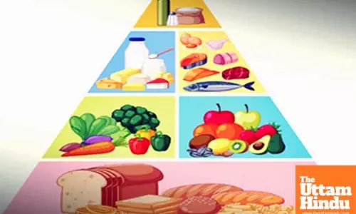 Shifting to balanced diets key to combat alarming nutrition crisis in India: Experts