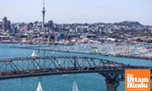 New Zealands new home consents up 4.8 per cent