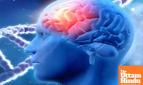 Costly therapies to foster Alzheimer’s market growth globally: Report