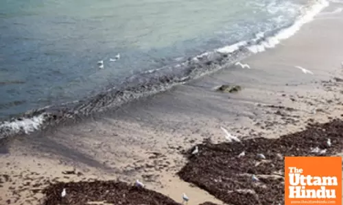 Australia: Return of debris balls forces closure of nine Sydney beaches