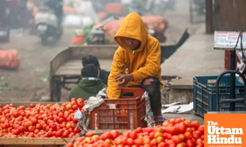 New Delhi: A boy selling vegetables at a mandi amid dense fog on a chilly winter morning