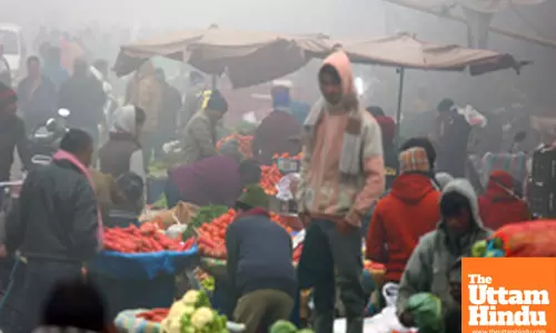 New Delhi: People purchase vegetables at a mandi amid dense fog on a chilly winter morning