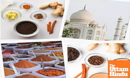 Masala Chai: A Heartwarming Blend of Tradition and Flavor