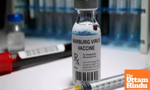 Eight killed in suspected Marburg virus disease outbreak in Tanzania: WHO