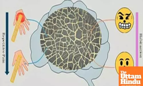 Indian scientists develop wearable devices that can detect stress