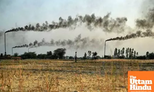 Study links maternal exposure to air pollution before pregnancy with childhood obesity risk