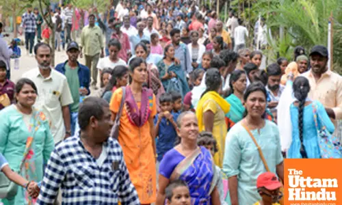 Chennai: People gather at Vandalur Zoo to celebrate the occasion of Kannum Pongal
