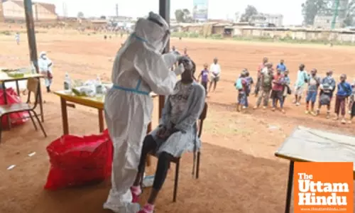 Africa reports over 200 disease outbreaks in 2024