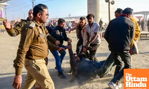 Prayagraj: Police personnel carry a man to an ambulance following a fire at a camp during the Maha Kumbh Mela 2025