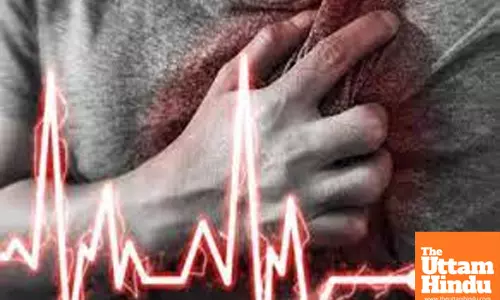 Study shows fatty muscles raise heart disease risk regardless of BMI