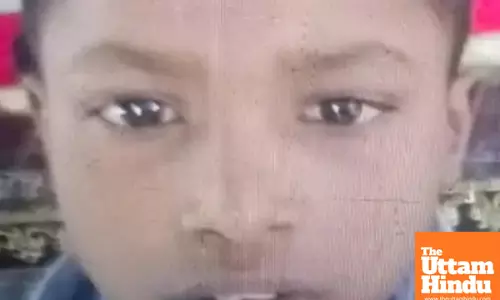 Heartbreaking Incident in Punjab: 9-Year-Old Boy Mauled to Death by Stray Dogs