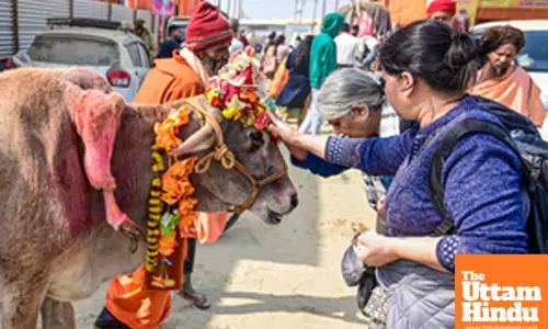Prayagraj: Women devotees seek blessings from a cow with five legs at the Sangam during the Maha Kumbh Mela 2025