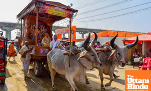 Prayagraj: Devotees take part in a traditional procession on a decorated bullock cart during the Maha Kumbh Mela 2025