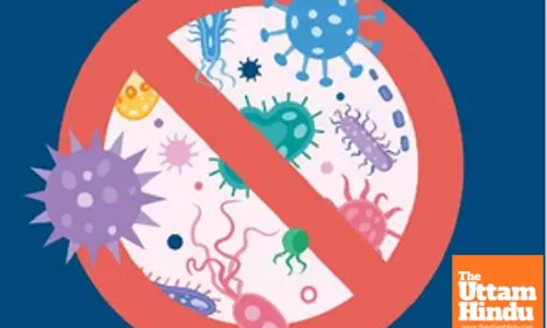 Oyster blood protein helps fight against superbugs: Study