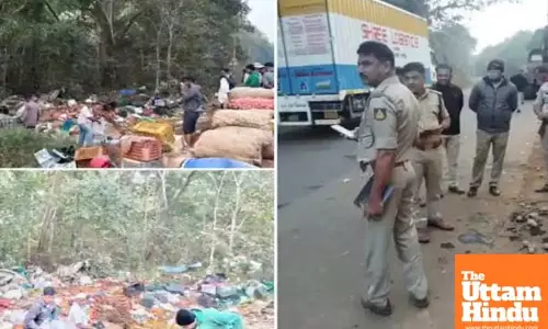 Tragic Accident: 8 Dead, 10 Injured as Fruit-Laden Truck Plunges Into Ditch