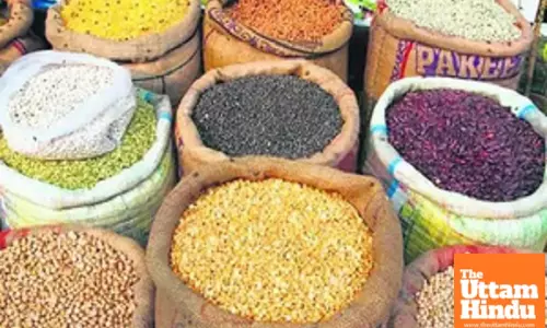 Centre to step up procurement of pulses from farmers in Rabi marketing season
