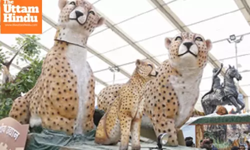 MP: Tableau for Republic Day to showcase success of Cheetah project