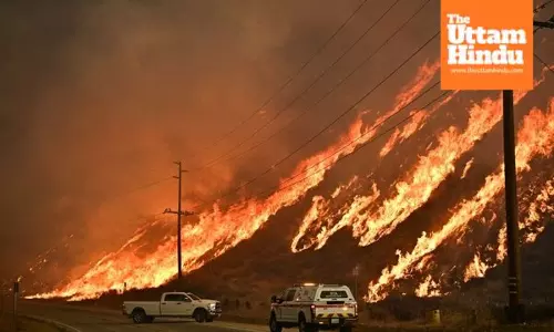 Wildfire Erupts in North Los Angeles: Over 50,000 Evacuated as Flames Spread Rapidly