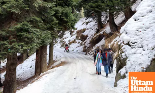Baramulla: A group of tourists walk on a snow-covered road