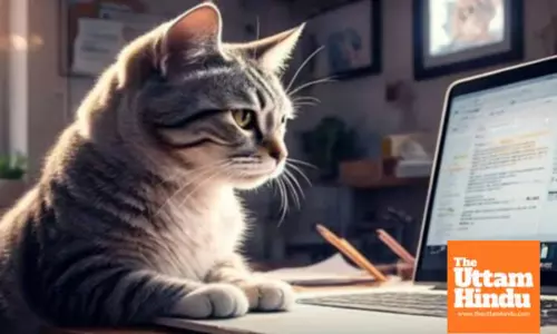 Cats Accidental Email Sends Employees Resignation, Leading to Job Loss and Missed Bonus