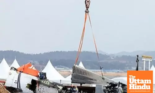 Jeju Aeroplane received bird activity warning one minute before black box stopped: Ministry