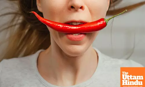 The Thrill and Challenge of Spicy Food: What Happens to Your Body