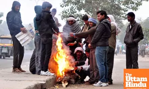 Parts of Rajasthan experience intense cold, Fatehpur records 0.5 degrees