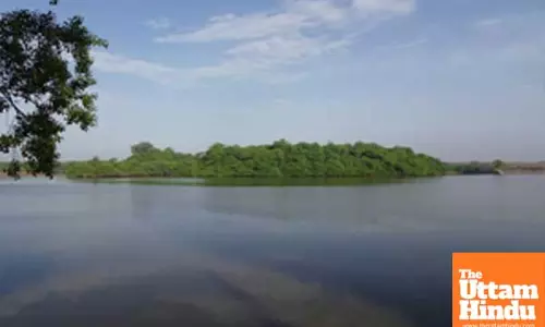 TN to use drone mapping to analyse, preserve ecologically-sensitive Ramsar sites