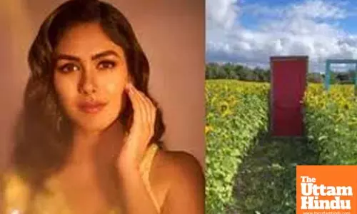 Mrunal Thakur reveals she is mentally here; Says Do Not Disturb