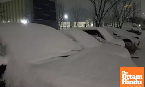 Heavy snow blankets South Korea on Lunar New Year holiday