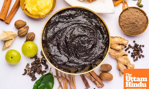 What happens when you add chyawanprash to your daily routine?