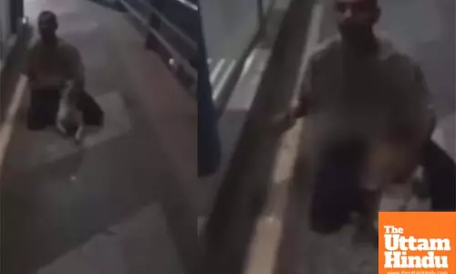Cruelty Beyond Limits: Dog Sexually Assaulted on Flyover, Video Sparks Outrage
