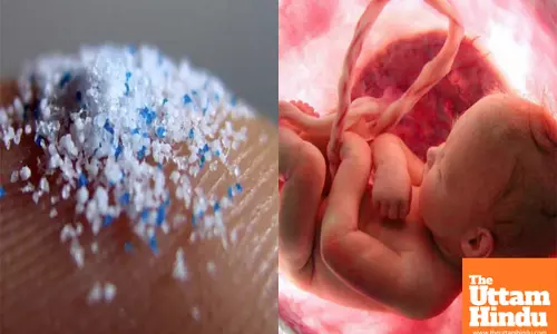 US doctors find high plastic concentration in placentae of premature babies