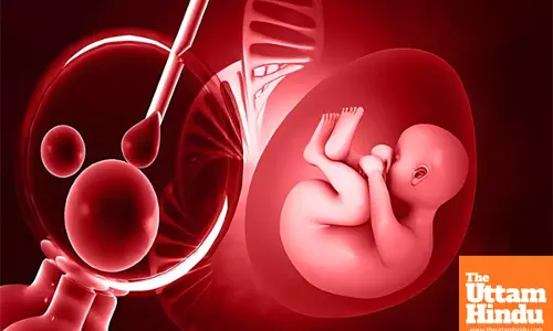 The future of parenthood: eggs and sperm created in labs offer hope for all ages