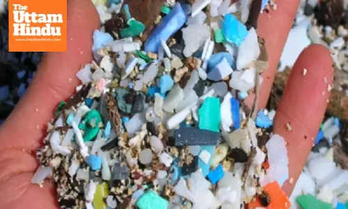 Plastic Pollution Reaches Unthinkable Levels: High Concentration Found in Placentae of Premature Babies