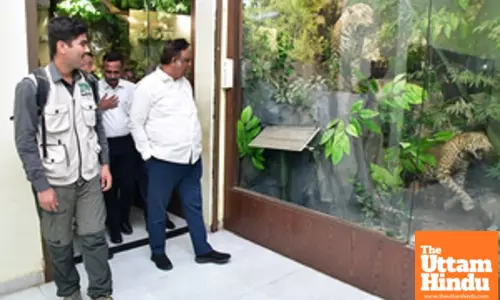 Leopard Safari to begin soon at Sanjay Gandhi National Park: Maha minister