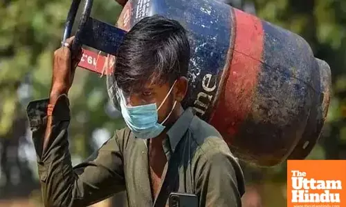 Big Relief Before Budget! LPG Cylinder Prices Slashed—Check New Rates