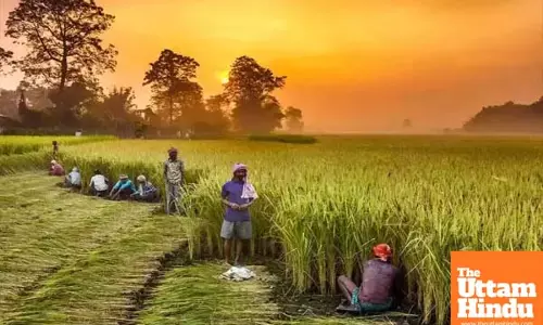 Big Boost for Farmers! PM Dhan Dhanya Yojana Announced in Budget 2025