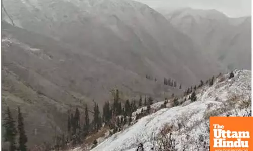 Higher reaches of J&K receive fresh snowfall